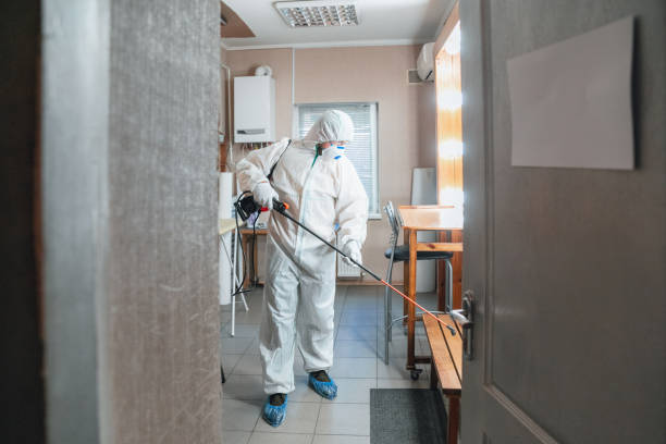 Best Mold Removal for HVAC Installations  in Spring City, UT