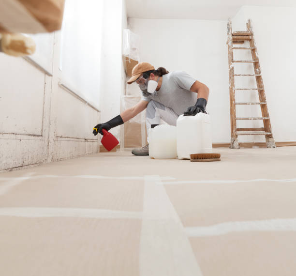 Best Biohazard Mold Removal  in Spring City, UT